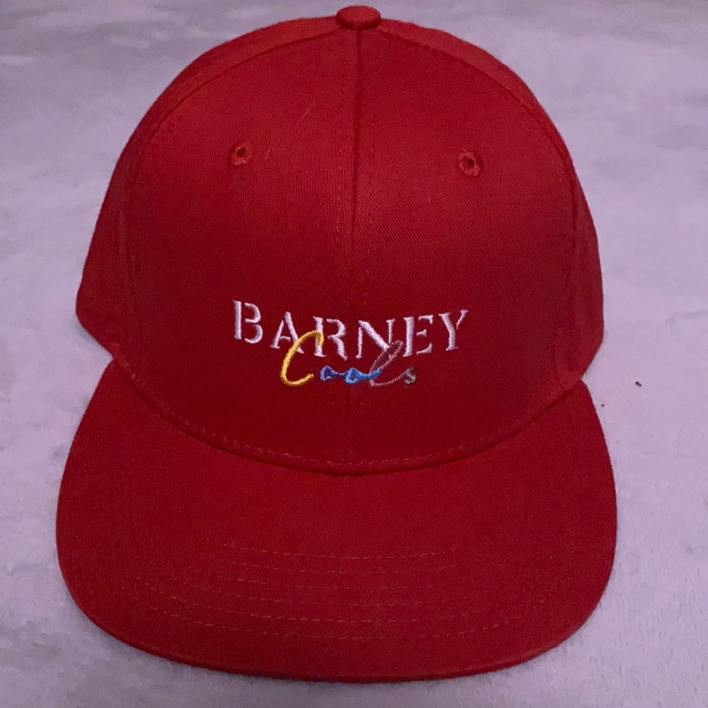 Barney Cools SnapBack Hat - Accessories